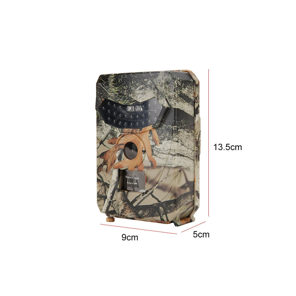 Image 5