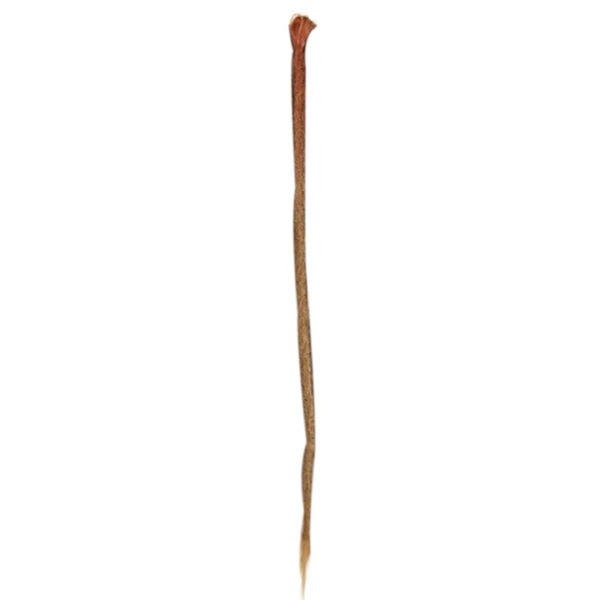 Image 18
