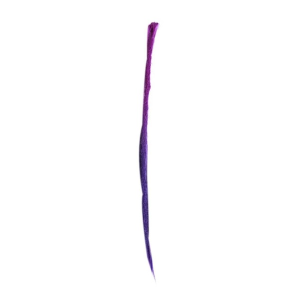 Image 27