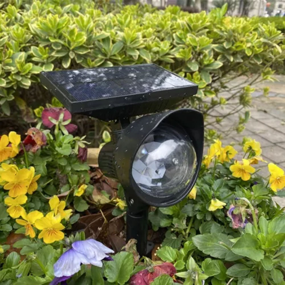 Image 12