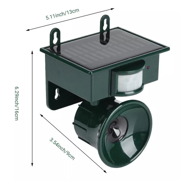 Image 5