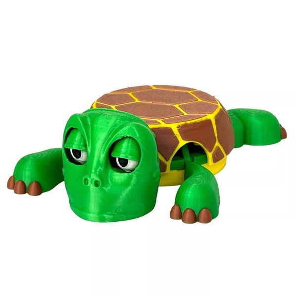 Image 7