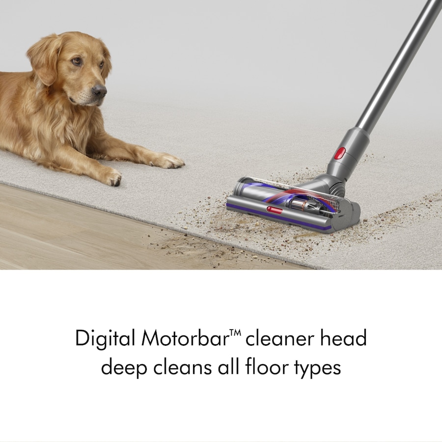 Dyson V15 Detect Absolute Cordless Stick Vacuum