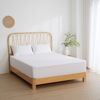 Esplanade Home Quilted Waterproof Mattress Protector (Single, King Single, Double, Queen, King)
