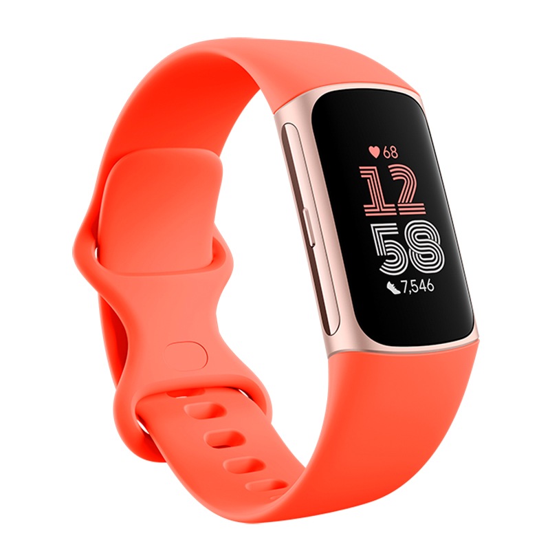Fitbit Charge 6 Fitness Tracker Coral/Champagne Gold Aluminum Australia