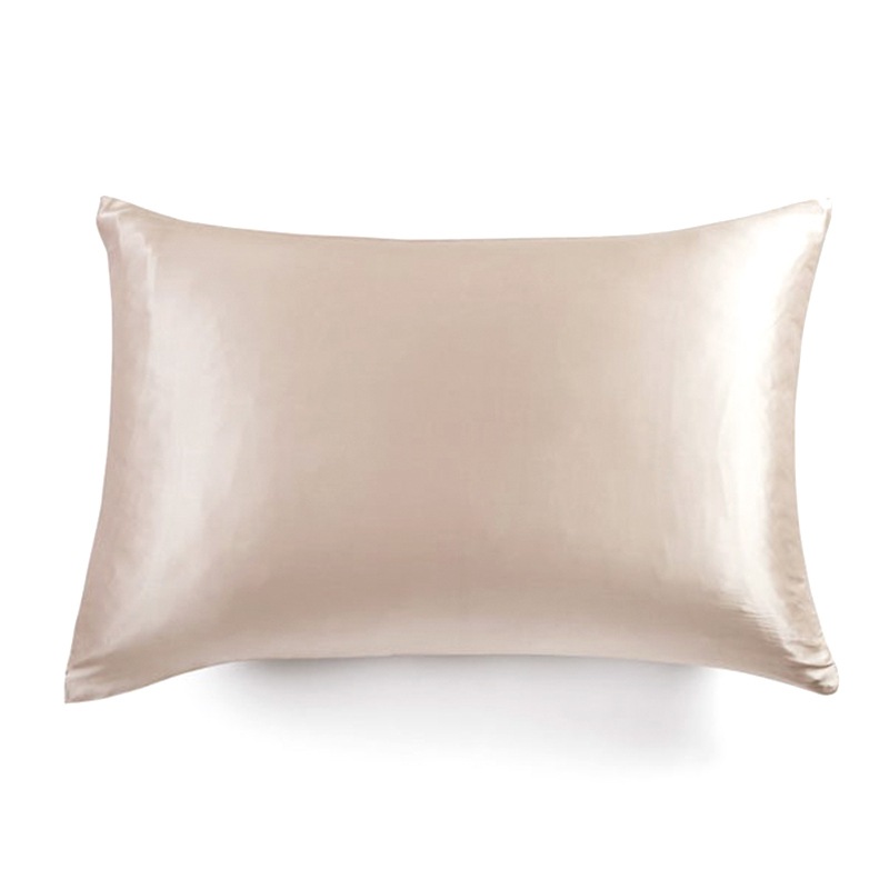 Buy Gioia Casa 100 Mulberry Silk Two Sided Pillowcase Champagne MyDeal