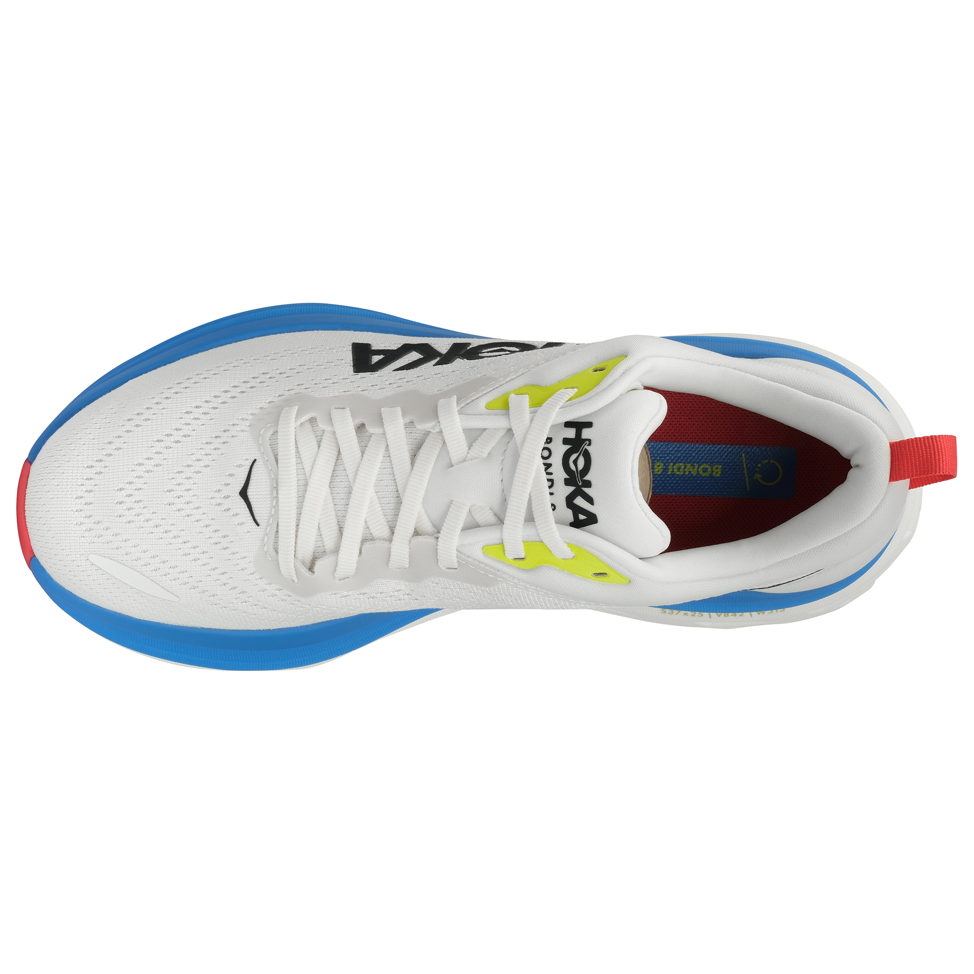 Image 5