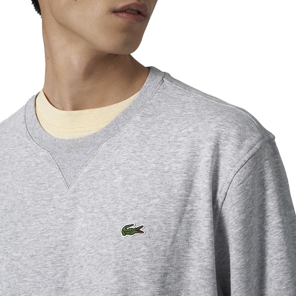 Image 7