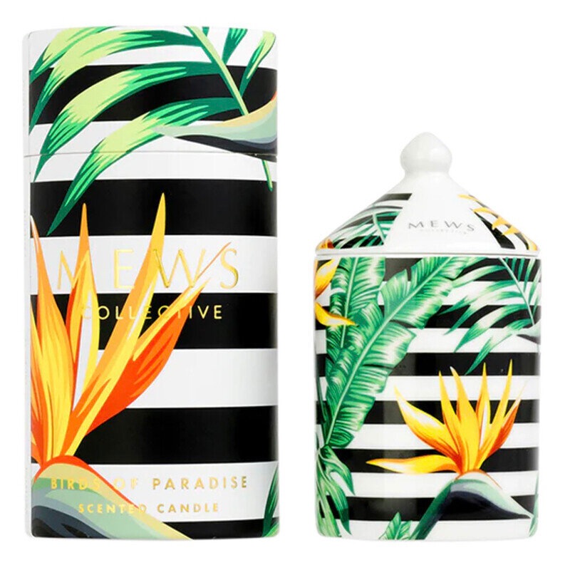 Buy Mews Collective Birds of Paradise Soy Candle 100g MyDeal