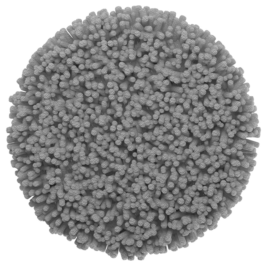 Shark Steam & Scrub Mop S7001