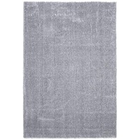 Sienna Silver Rug
