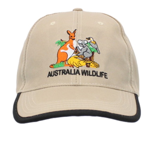 Image 22