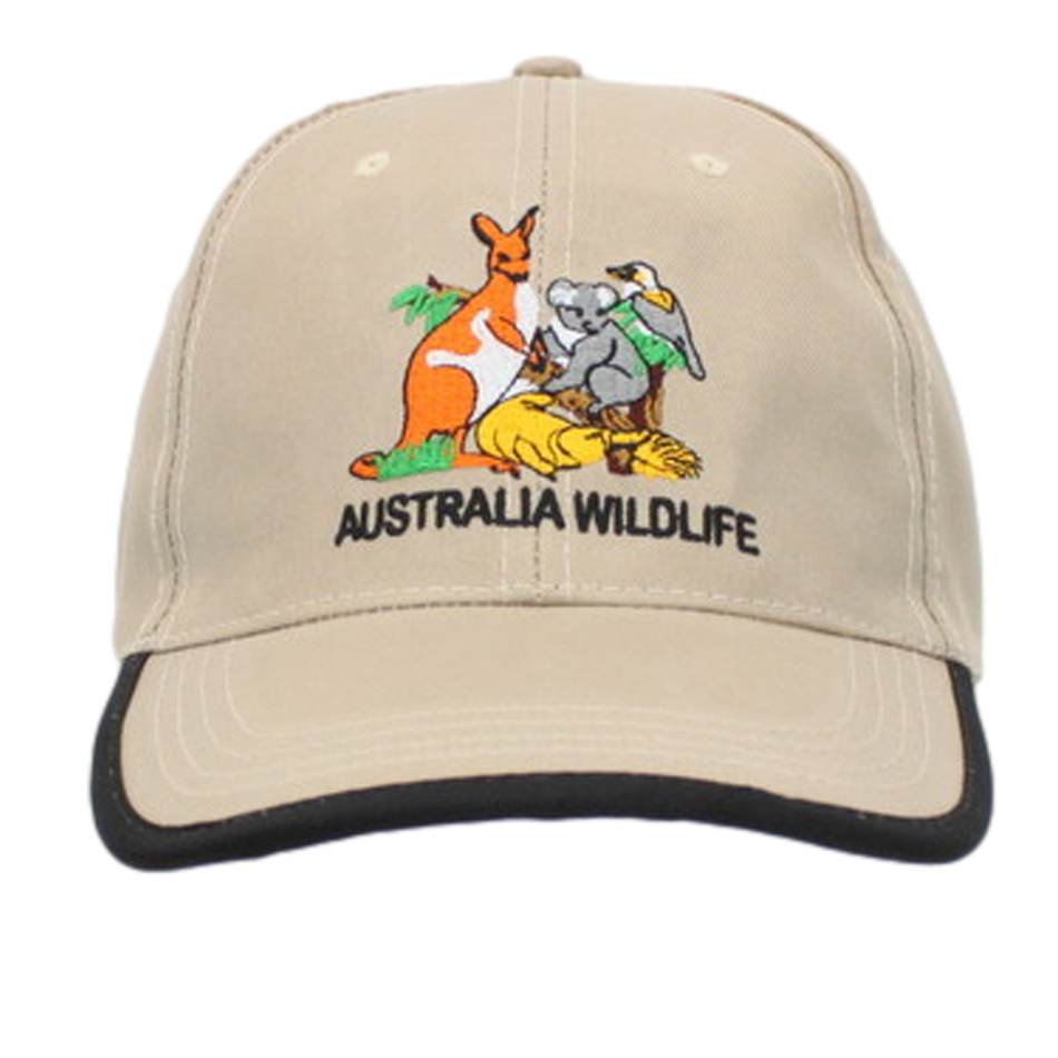 Image 22