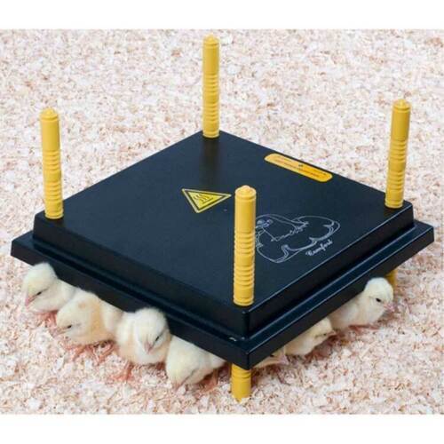 Comfort Chick/Brooder Chickplate Heating Plate 13Watts 25cm x 25cm
