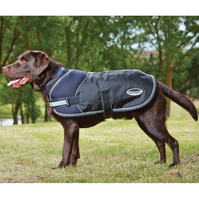 Buy Dog Coat Weatherbeeta Parka Freestyle Strong Waterproof Breathable