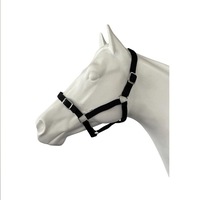 Eureka - Buckle Halter Black Pony-Full