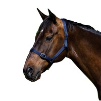 Eureka - Buckle Halter Navy Pony-Full