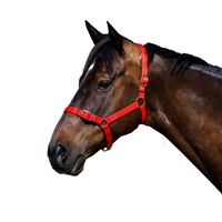 Eureka - Buckle Halter Red Shetland-Full