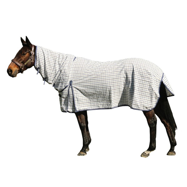 Image 21