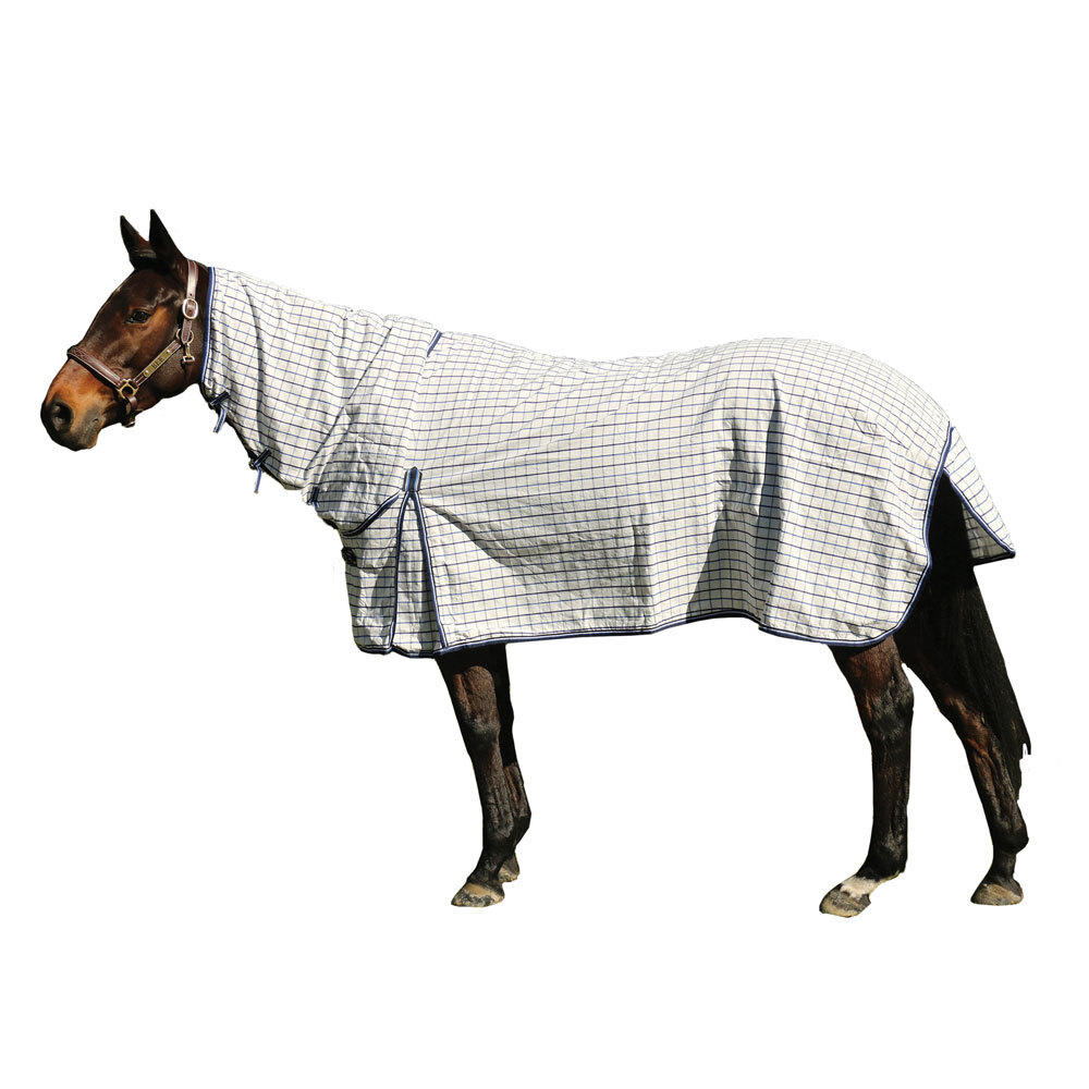 Image 21