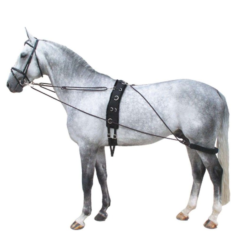 Buy Horse Lunge Training System Aid Equvi To Pessoa Develops Top Line