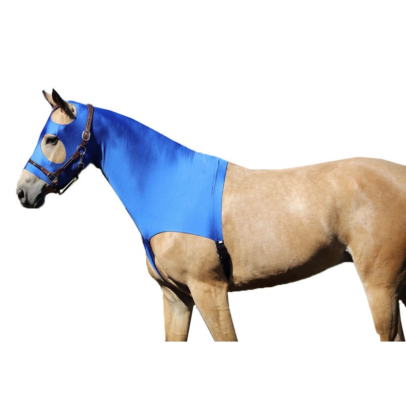 Buy Horsemaster Lycra Horse Skinny Hood Bib Shoulder Neck Zip+Belly