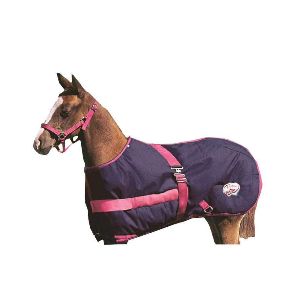 Thermo Master Growing Foal Rug Teal or Navy
