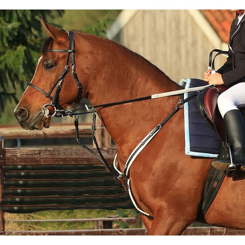 Buy Ultra Light Weight Endurance Bridle/Reins/Breastplate/Martingale