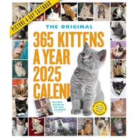 365 Kittens-A-Year Picture-A-Day® Wall Calendar 2025