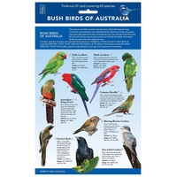 Bush Birds of Australia