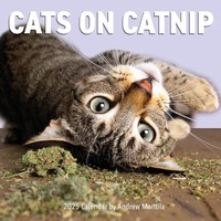 Cats on Catnip Wall Calendar 2025