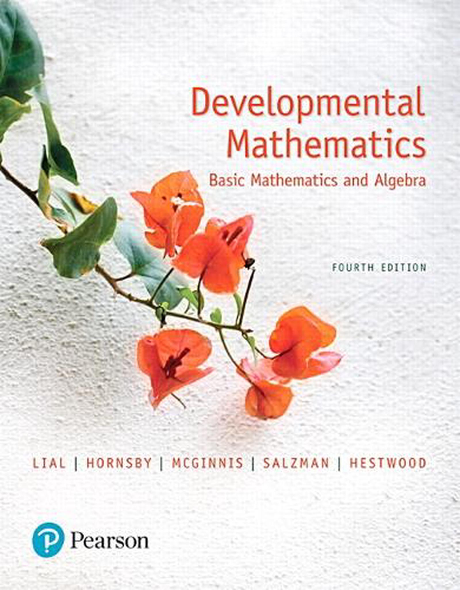 Buy Developmental Mathematics - MyDeal Australia