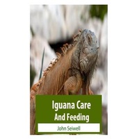 Iguana Care And Feeding