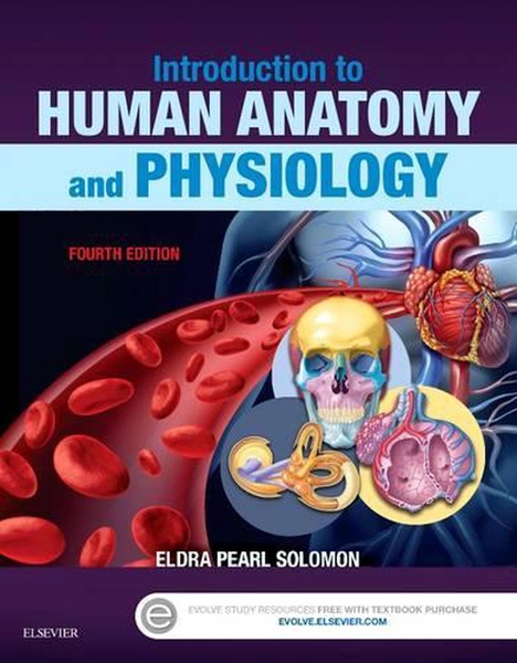 Buy Introduction to Human Anatomy and Physiology - MyDeal Australia