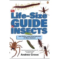 The Life-Size Guide to Insects