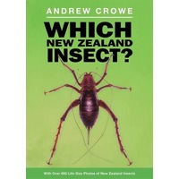Which New Zealand Insect?