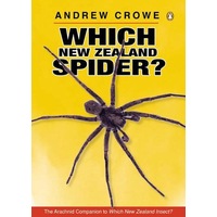 Which New Zealand Spider?