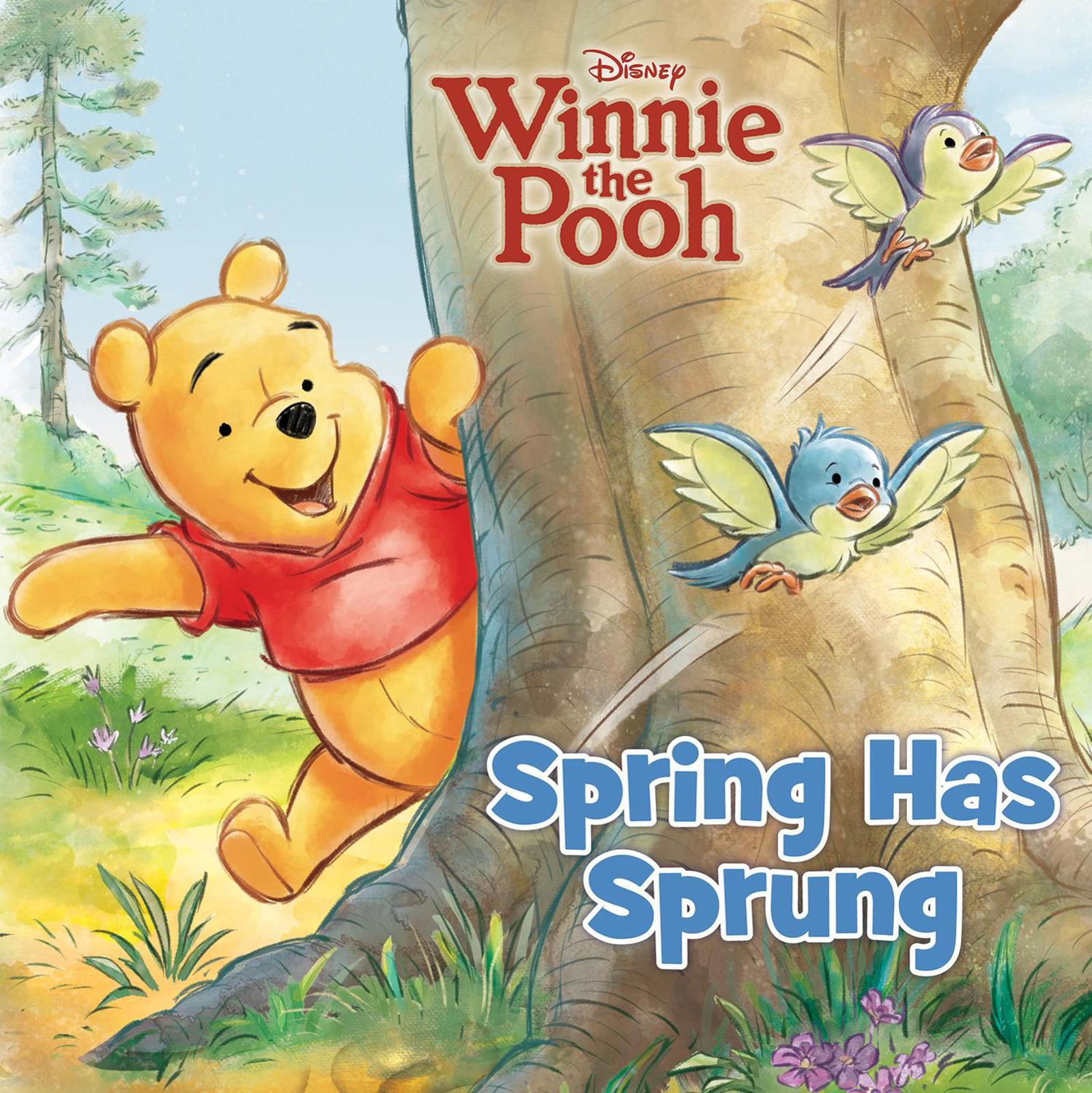Hello Pooh Spring Buy Winnie The Pooh: Spring Has Sprung (Disney) - MyDeal Australia