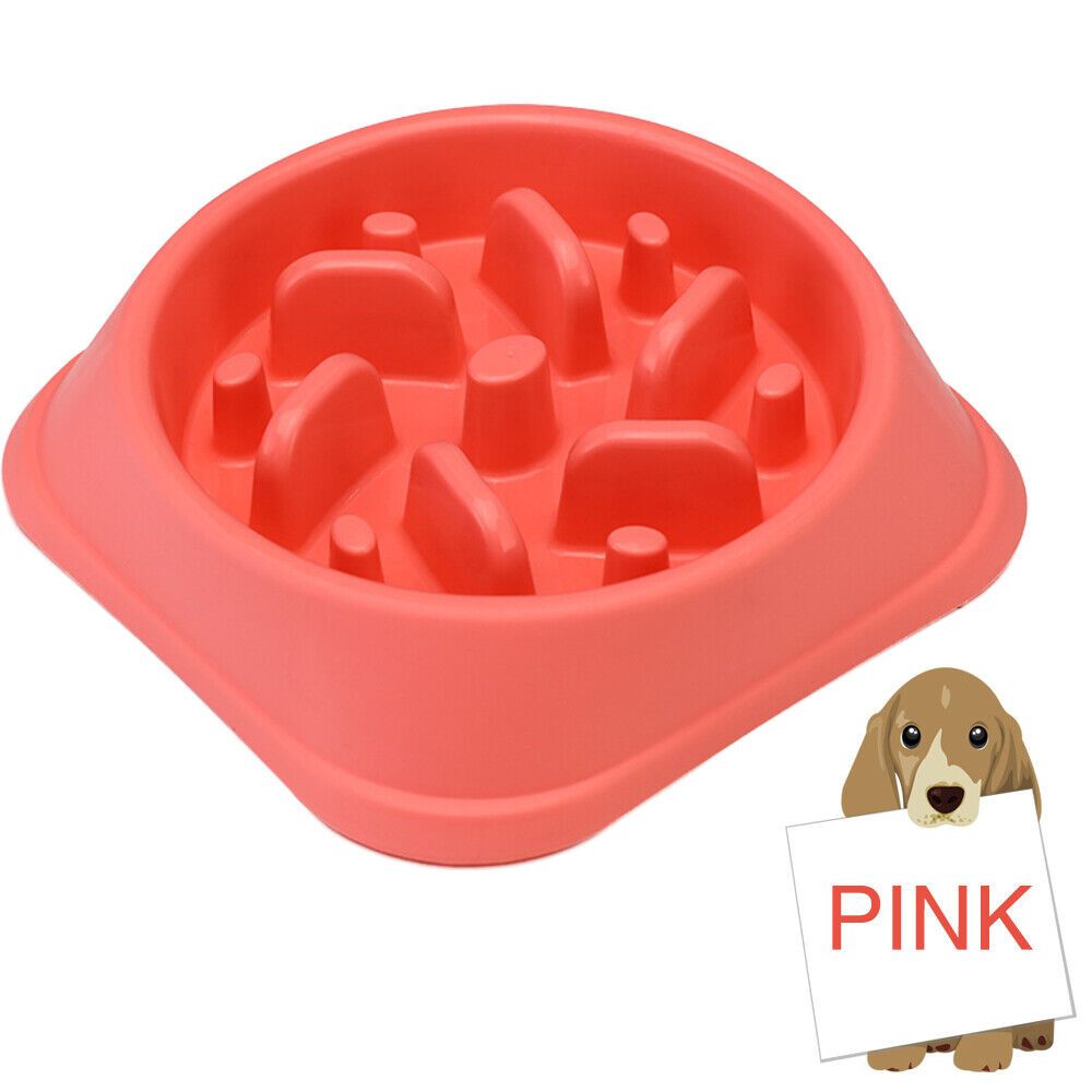 Buy Zenify Dog Bowl Slow Feeder Large 500ml Healthy Eating Pet Interactive Feeder with Anti Skid Non Slip Grip Base to Reduce Overeating Bloating Vomiting Obesity for Wet Dry Raw Food and Water