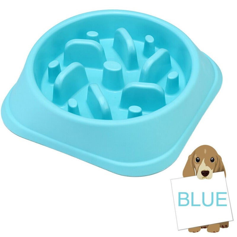 https://assets.mydeal.com.au/47765/zenify-dog-bowl-slow-feeder-large-500ml-healthy-eating-pet-interactive-feeder-with-anti-skid-non-slip-grip-base-to-reduce-overeating-bloating-vomiting-obesity-for-wet-dry-raw-food-and-water-10351944_00.jpg?v=638275944104058344&imgclass=dealpageimage