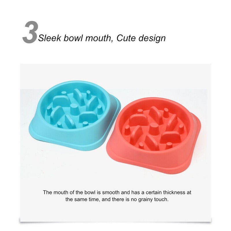 Zenify Pets Slow Feeder Dog Bowl