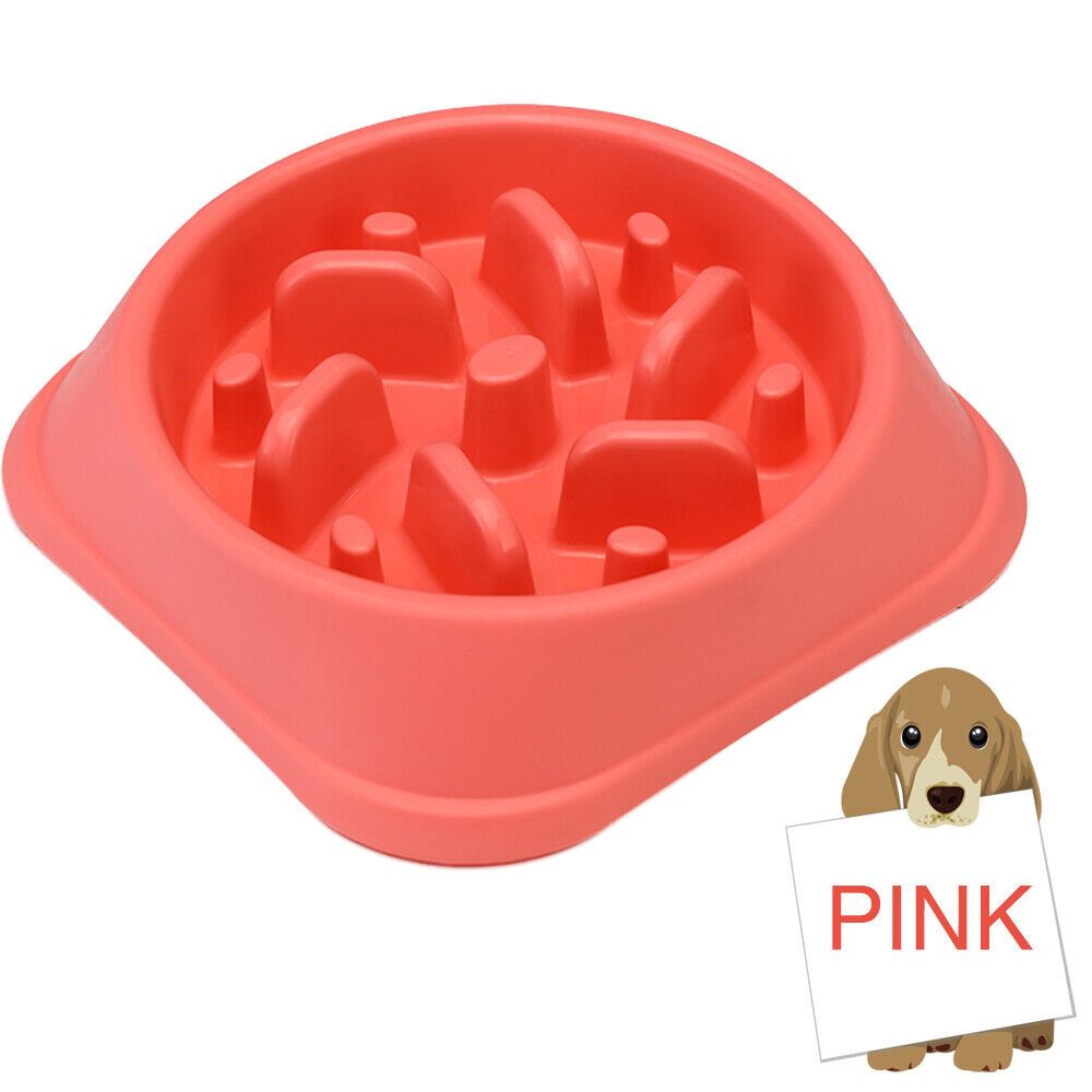 Blitz dog outlet feeder