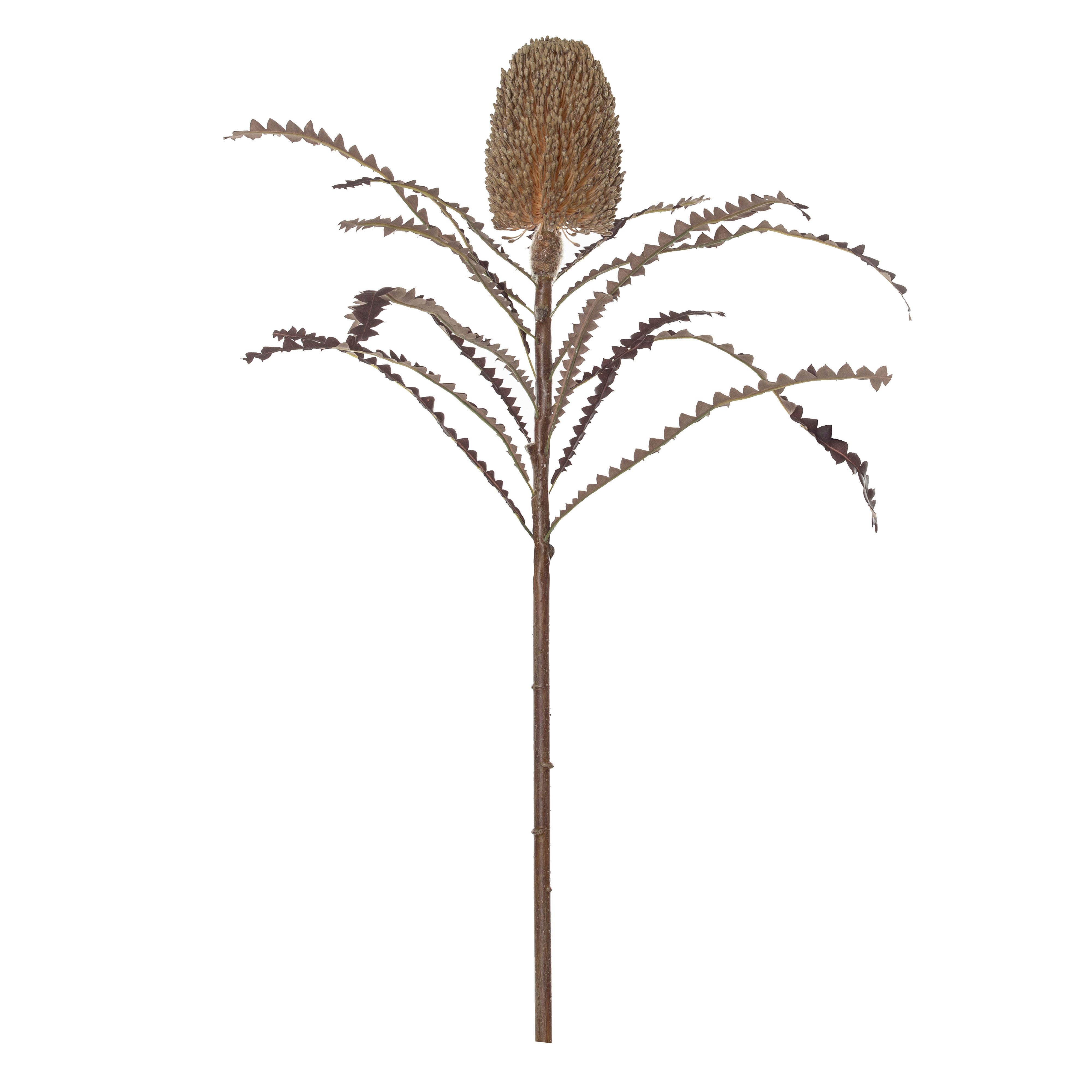 Buy Rogue Black Label Banksia Dried Look Artificial Flower Stem Decor Buy rogue black label banksia dried look artificial flower stem decor