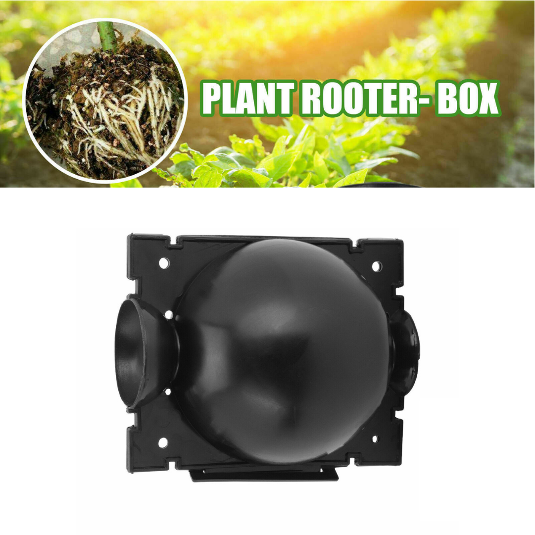 2 to 20pc Plant Rooting Device High Pressure Propagation Graft Ball Box Grow US 