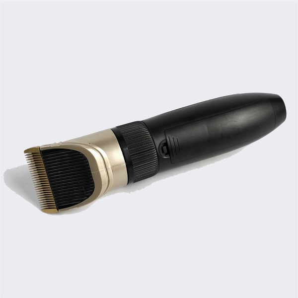 Image 7