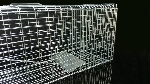 Image 5