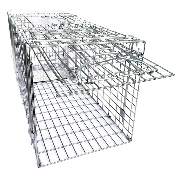 Image 7