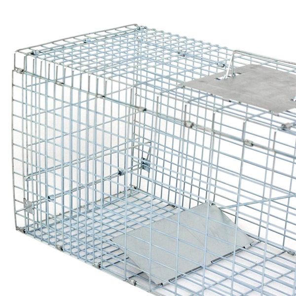 Image 8