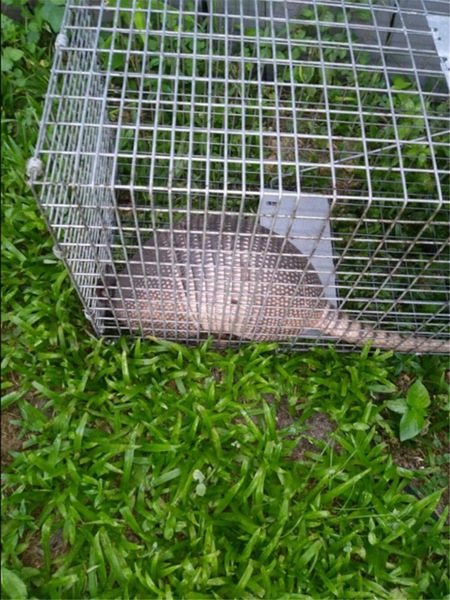 Image 11