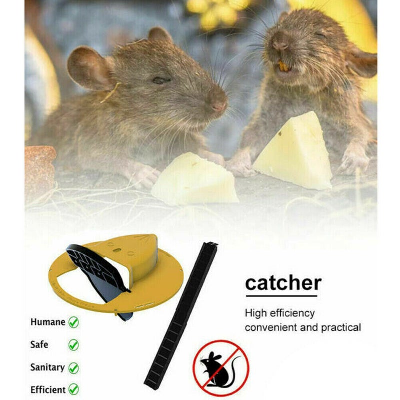 https://assets.mydeal.com.au/47781/mouse-trap-flip-n-slide-bucket-lid-mouse-rat-trap-with-ladder-mouse-10124172_03.jpg?v=638222931680107455&imgclass=dealpageimage